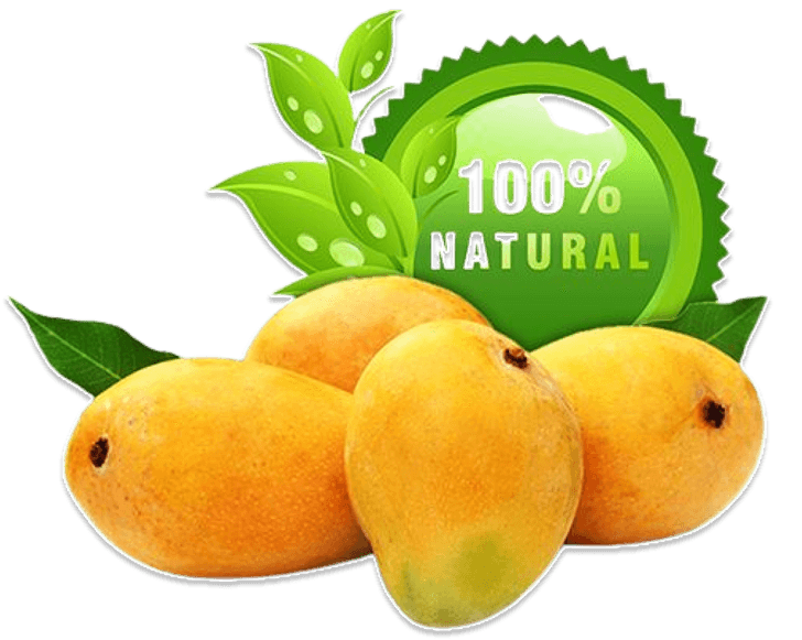 Infinity Agro about us