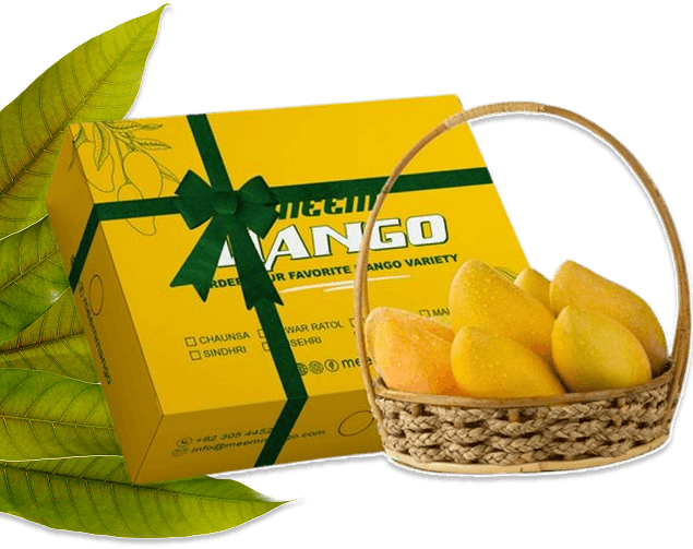 Infinity Agro about us