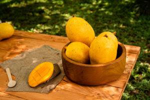 Infinity Agro Gallery 10