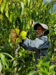 Infinity Agro Gallery 12