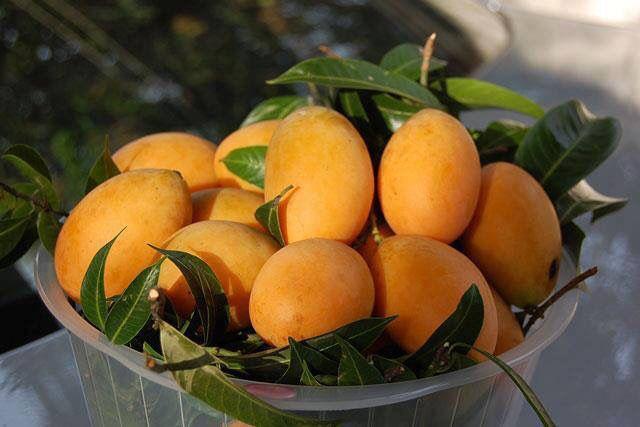 Infinity Agro Gallery 2