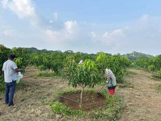 Infinity Agro Gallery 4