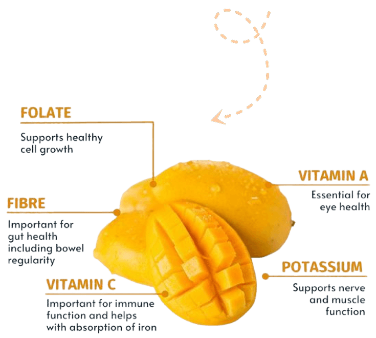 Infinity Agro Products