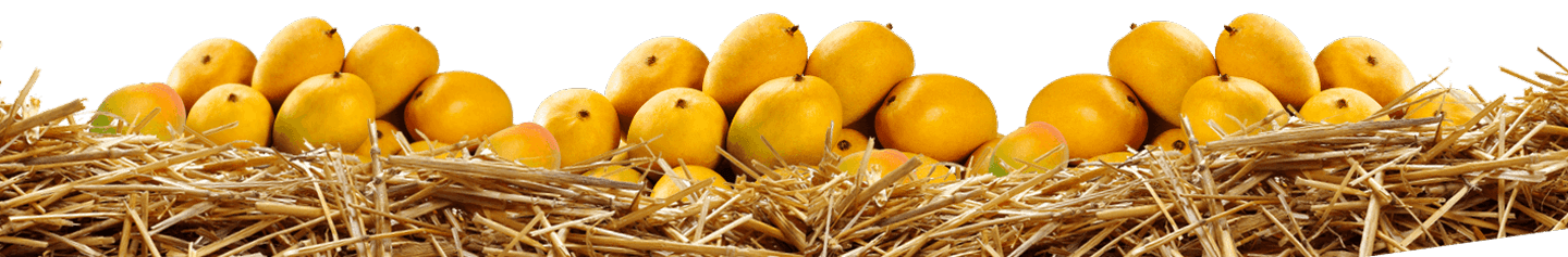 Infinity Agro products