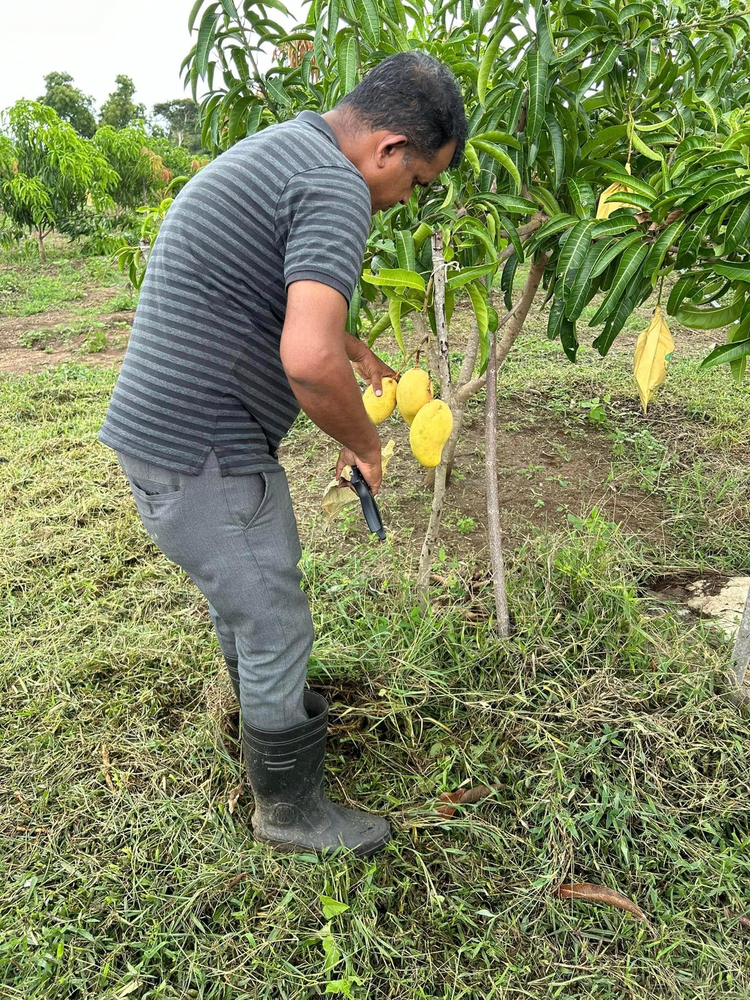 Infinity Agro experience