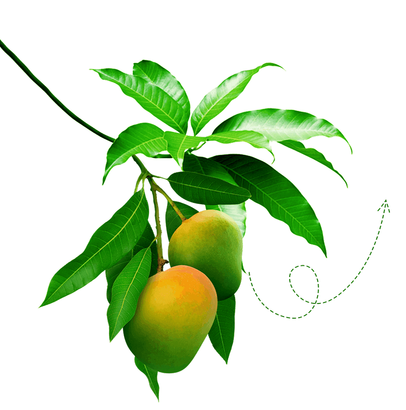 Infinity Agro about us